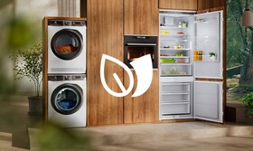 Electrolux Ecoline